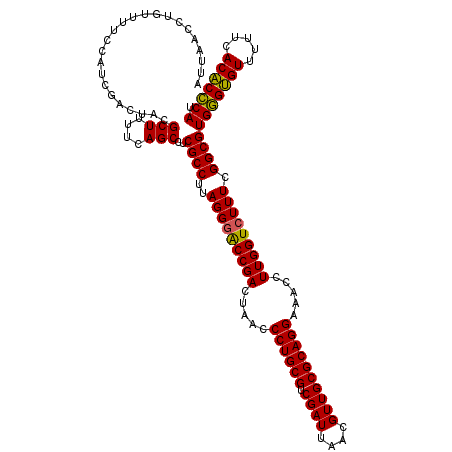 secondary structure
