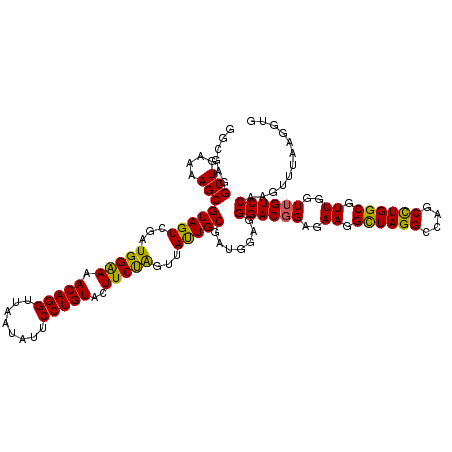 secondary structure