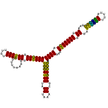 secondary structure