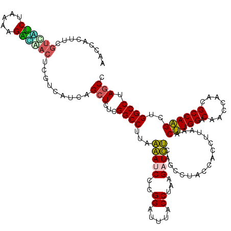 secondary structure