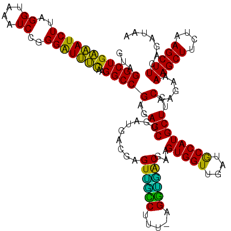 secondary structure