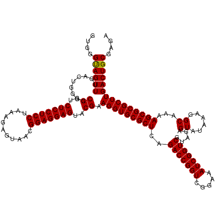 secondary structure