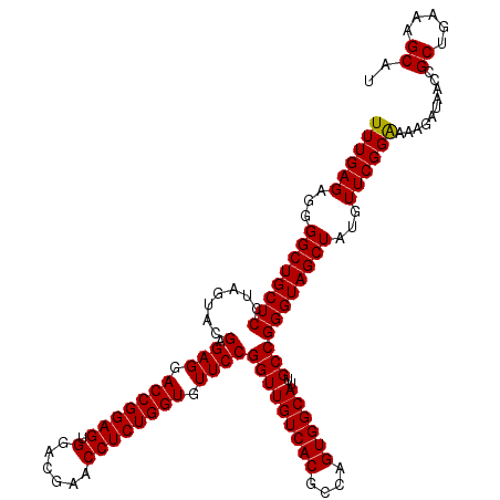 secondary structure