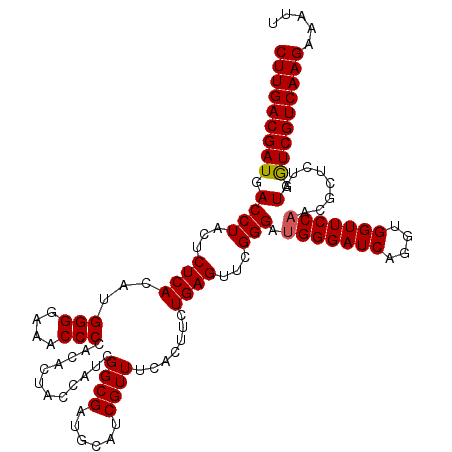 secondary structure