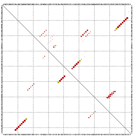 dotplot