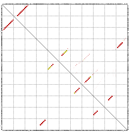 dotplot