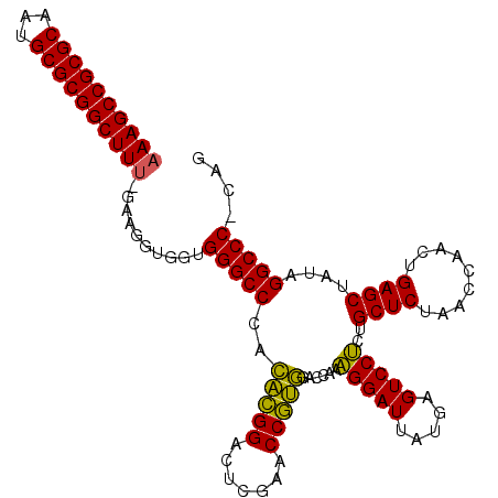 secondary structure