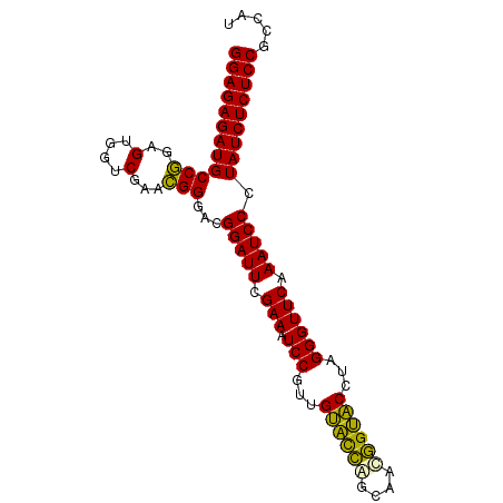 secondary structure