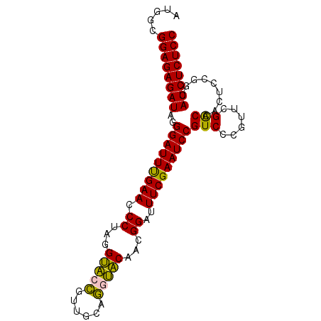 secondary structure