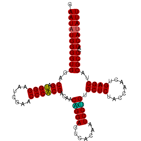 secondary structure
