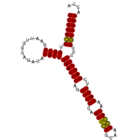 secondary structure
