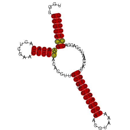 secondary structure
