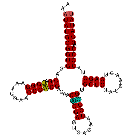 secondary structure