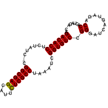 secondary structure