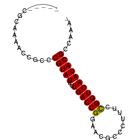 secondary structure