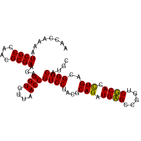 secondary structure
