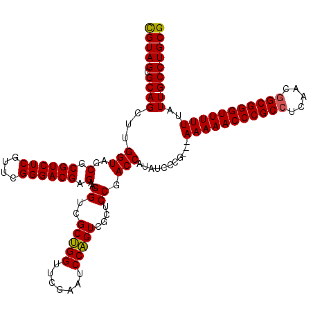 secondary structure