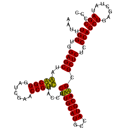 secondary structure