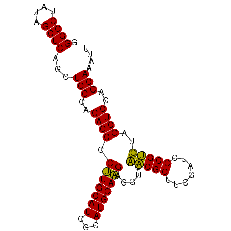 secondary structure