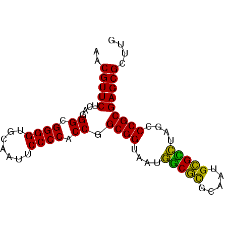 secondary structure