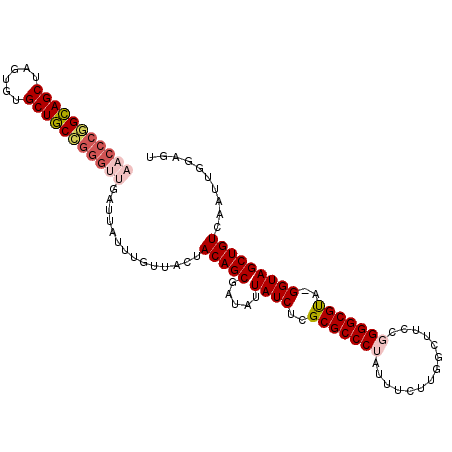 secondary structure