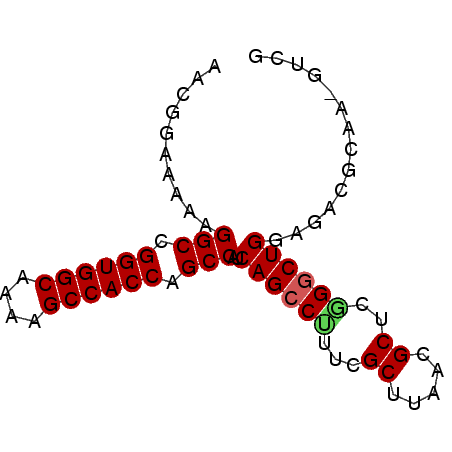 secondary structure