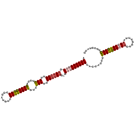 secondary structure