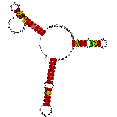secondary structure