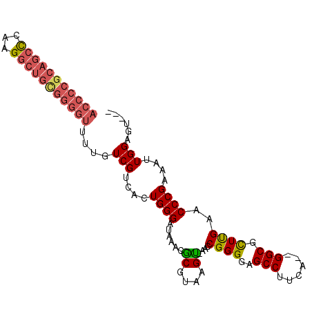 secondary structure