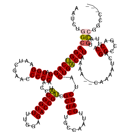 secondary structure