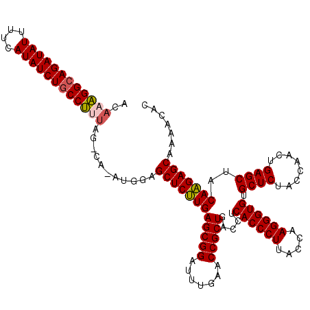 secondary structure