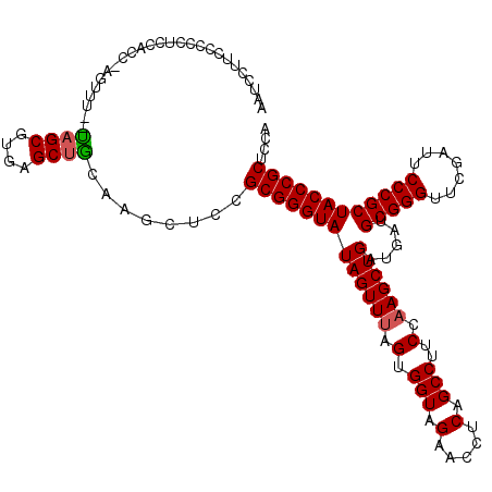 secondary structure