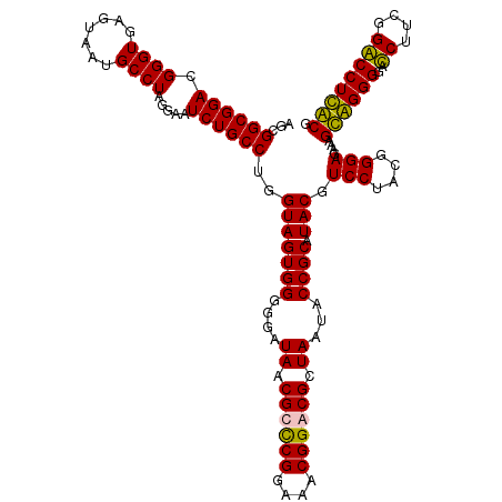 secondary structure