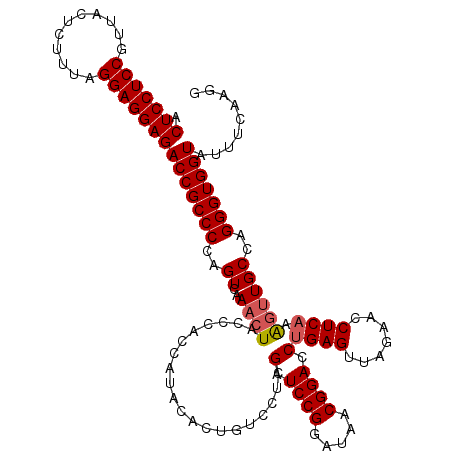 secondary structure