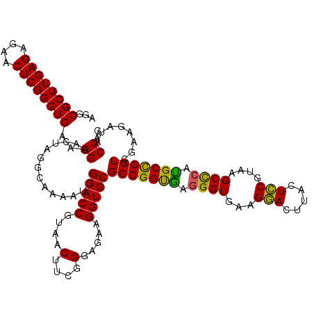 secondary structure