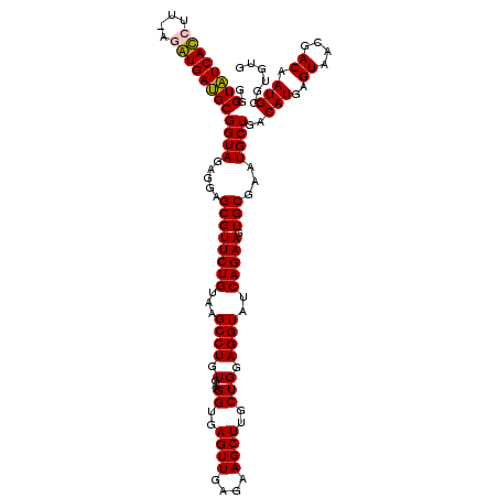 secondary structure