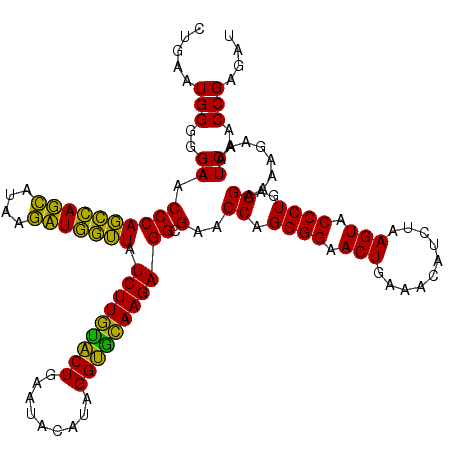 secondary structure