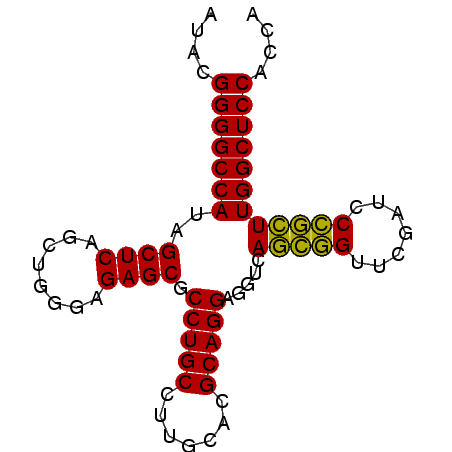 secondary structure