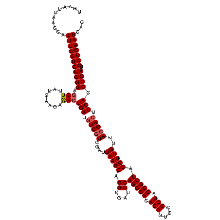 secondary structure