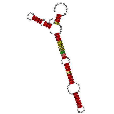 secondary structure