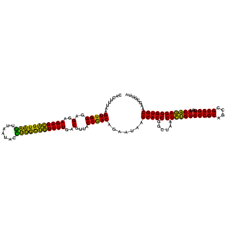 secondary structure