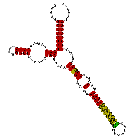 secondary structure