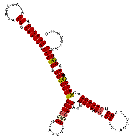 secondary structure