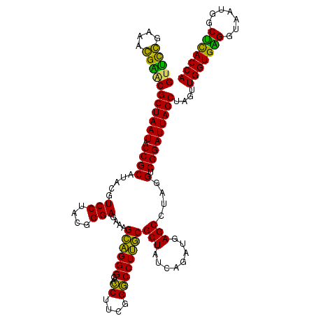 secondary structure