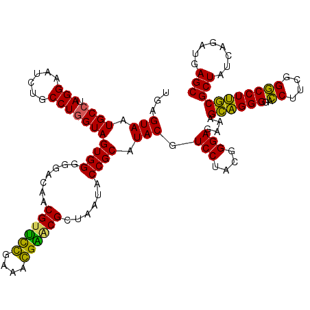 secondary structure