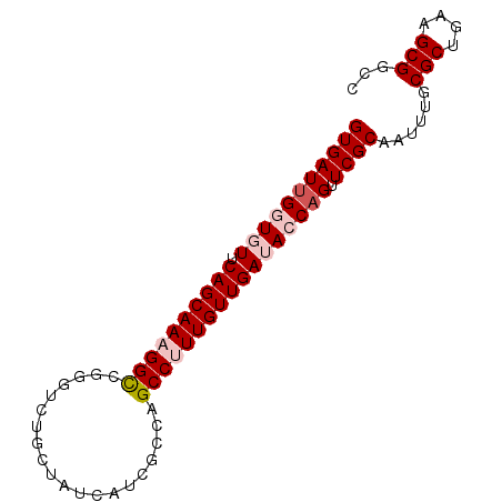 secondary structure