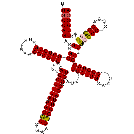 secondary structure