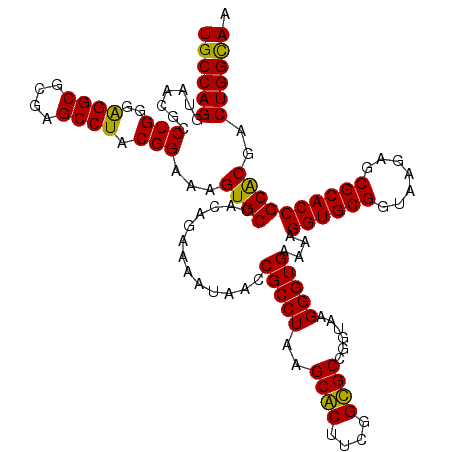secondary structure