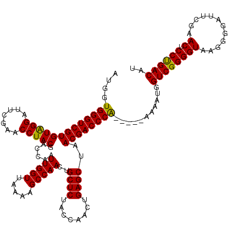 secondary structure