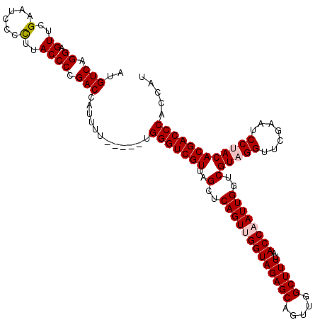 secondary structure